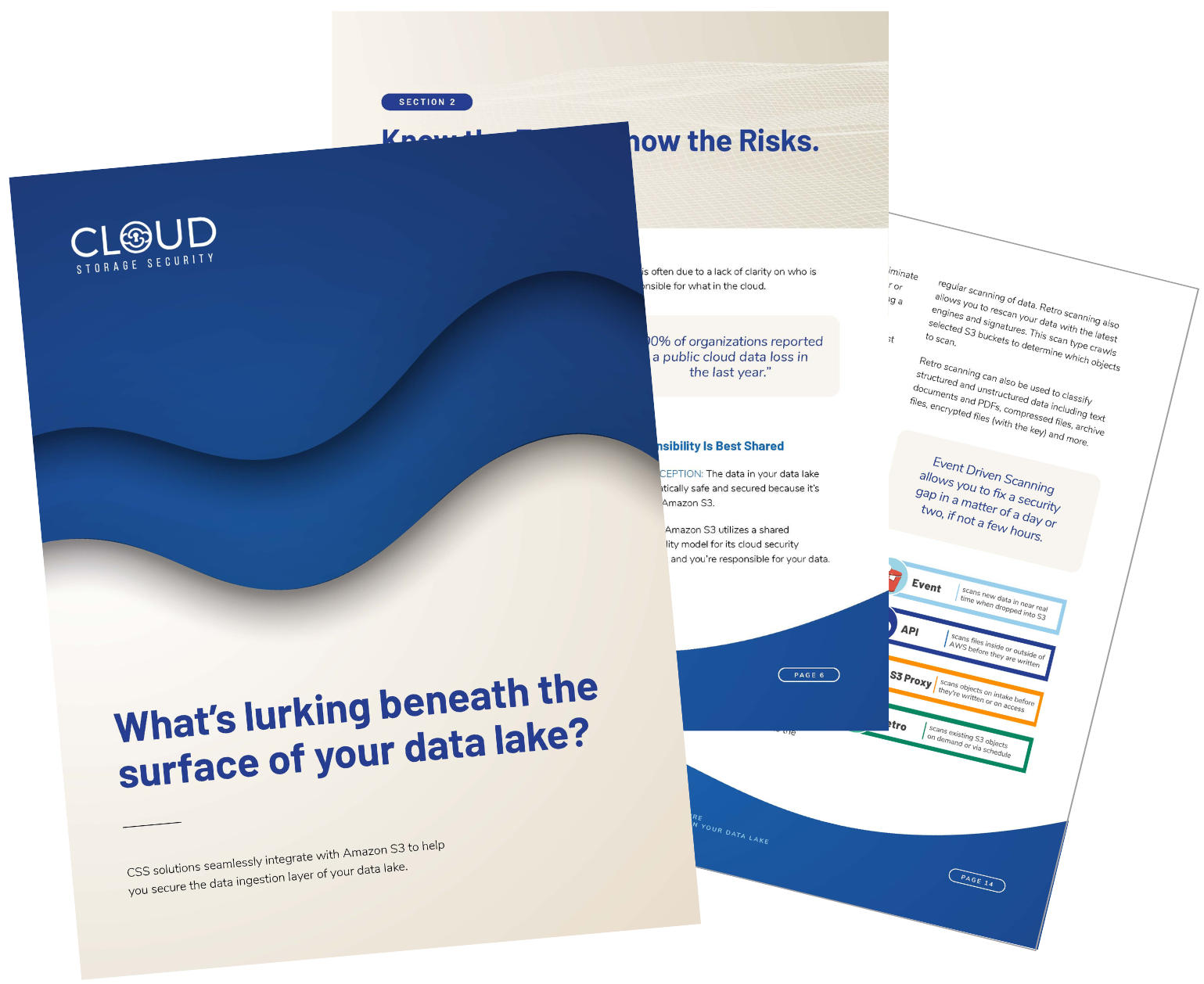 White Paper - What’s Lurking Beneath the Surface of Your Data Lake?